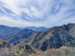 -大岭沟猕猴桃谷风景区