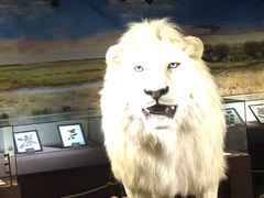 -陕西自然博物馆