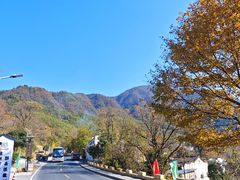 -塔川景区