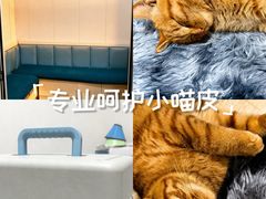 -守诺宠物医院·眼科· 神经外科·爬宠专科(虹口店)