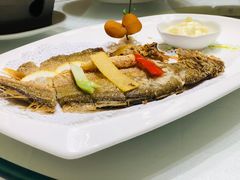 -骏莱海鲜鱼港(五角场店)