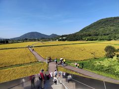 -风云岭森林公园