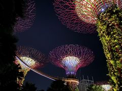 -db Bistro & Oyster Bar by Daniel Boulud(滨海湾金沙店)