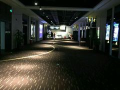 -万达影城(金山万达广场IMAX店)