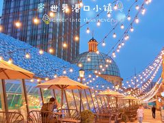 -三花喵·撸猫购宠·宠物生活馆(虹桥南丰城店)