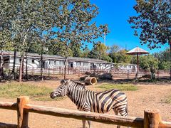 -大连森林动物园