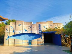 -青岛海底世界-水族馆