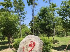 -顾村公园