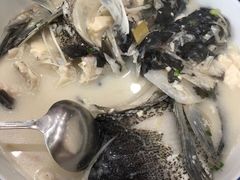 -全乐鱼馆·淳牌有机鱼直营店