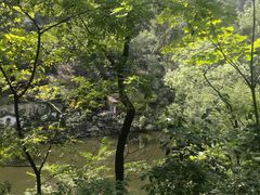 -南山植物园