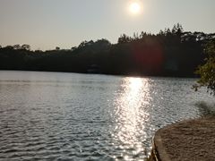 -深圳仙湖植物园