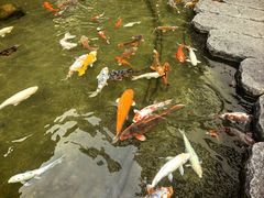 -广州花园酒店