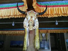 -银同牦牛肉火锅