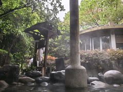 -张家港金凤凰度假村温泉