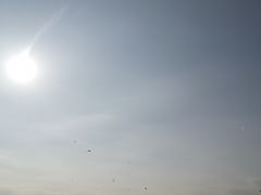 -白鹭湾湿地公园