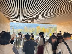 -千年银杏谷文化旅游区