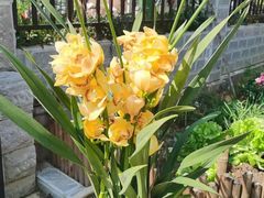 -张钰强中医正骨推拿连锁(唐家人才公寓店)