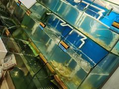 -胖大嫂渔家排档·全海景餐厅(渔村店)