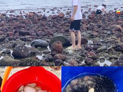 -花海间·即刻露营