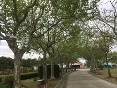 -东方绿舟景区