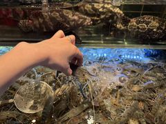 -雍容荟帝王蟹活龙虾展台自助(IFS黑金店)