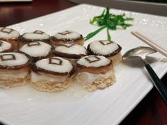 金钱鱼肚-丁老爷子苏香圆