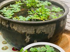 -813芭依珊 BAESAn(皇冠十畝地店)