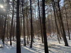 -帽儿山国家森林公园