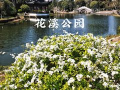 -花溪公园