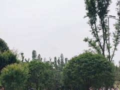 -枫香湖儿童公园