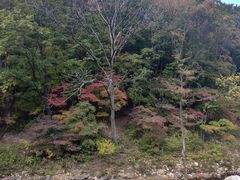 -龙道沟景区