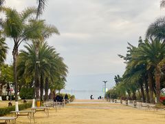 -西昌邛海湾柏樾酒店(原邛海湾柏栎度假酒店)