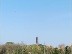 -北坞公园