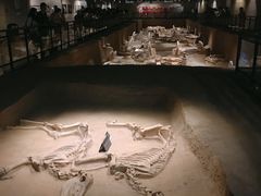 -洛阳周王城天子驾六博物馆