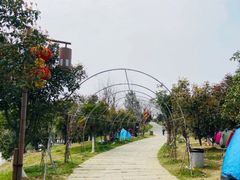 -瑶湖郊野森林公园