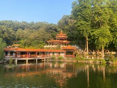 -深圳仙湖植物园