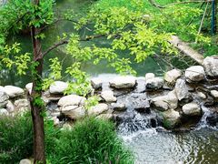 -白水寺森林公园