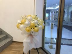 点击看大图 -YESIDO椰岛造型