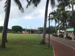 -万绿园