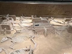 -洛阳周王城天子驾六博物馆