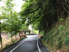 -龙川湾千岛湖国际垂钓中心