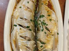 清蒸鲜白鱼-西新饭店(城中店)