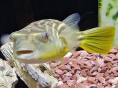 -上海海洋水族馆