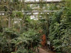 -石家庄市植物园