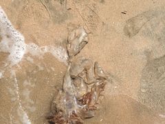-嵊泗基湖沙滩