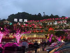 -枇杷园食为鲜火锅(南山店)