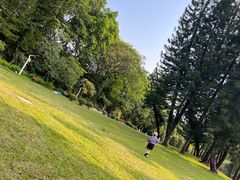 -人民公园(罗湖区)