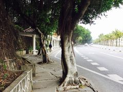 -情侣路
