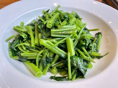 空心菜-饭怕鱼(阳光100店)