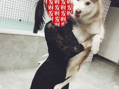 -柚子宠物(伊珊娜调理店)